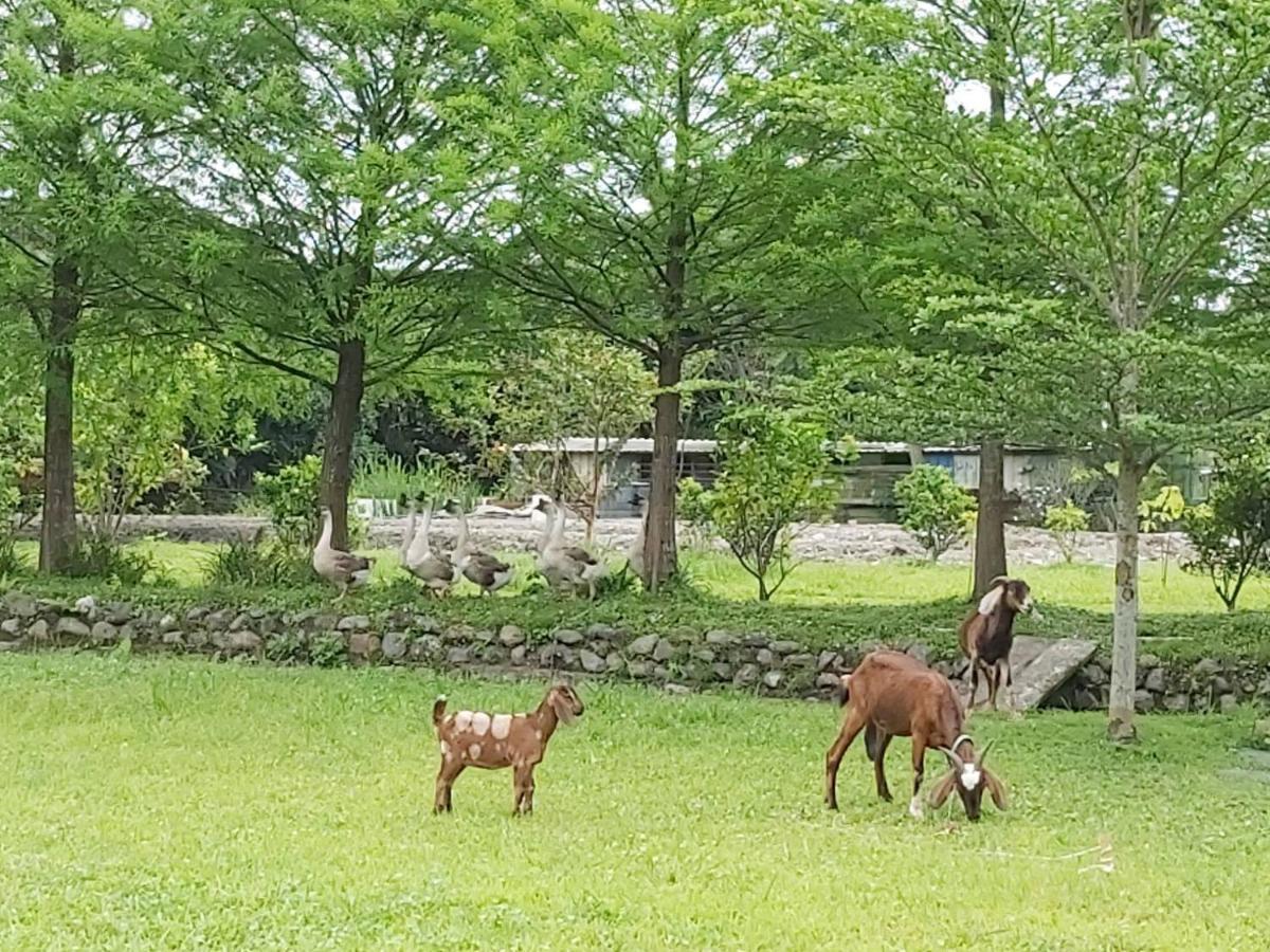 Meihua Lake Leisure Farm Дуншань Экстерьер фото